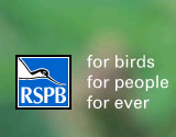 RSPB Logo