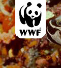 WWF Logo